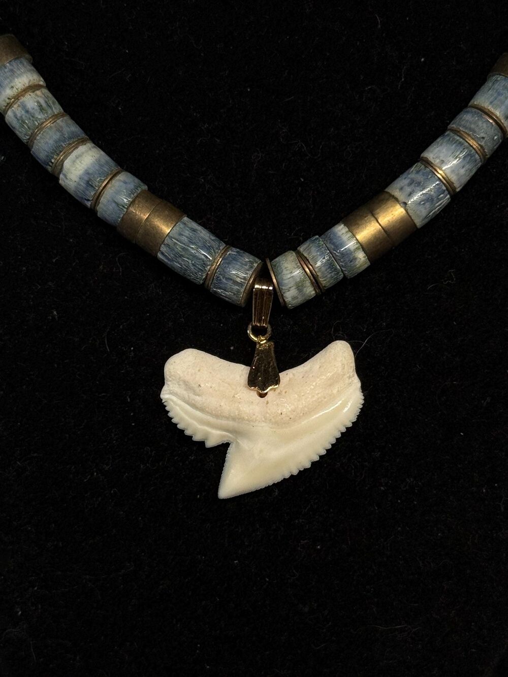 Blue Coral Shark Tooth Heishi Bead Necklace